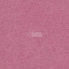 Ковролин Radici Nexus Cassis 8250 фото 1 | FLOORDEALER